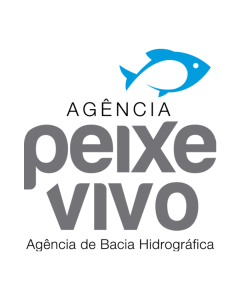 Membro da equipe Agência Peixe Vivo - Agência de Bacia Hidrográfica